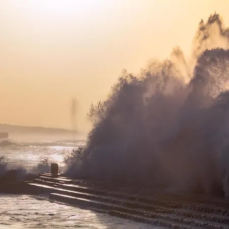 Surf & *